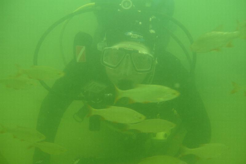 07 D 021.JPG